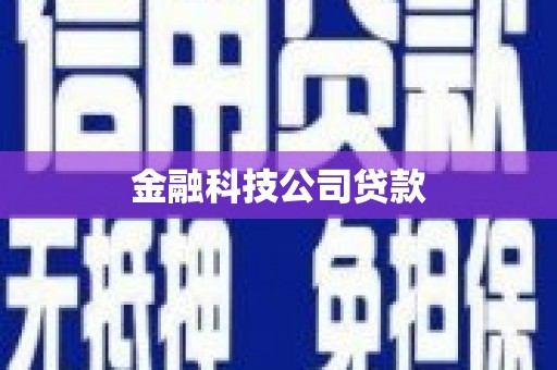班玛金融科技公司贷款