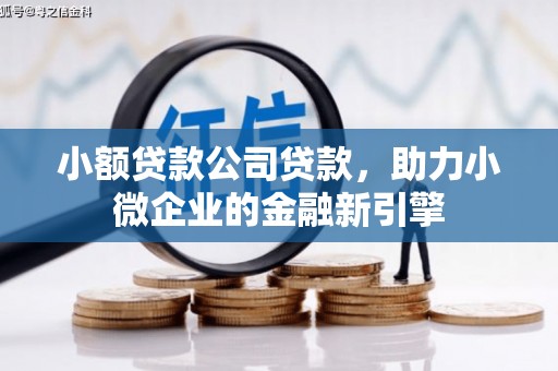 贵溪小额贷款公司贷款，助力小微企业的金融新引擎