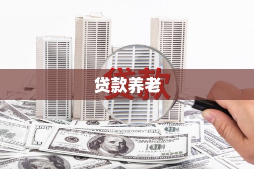清河贷款养老