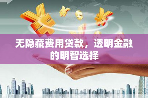 玛曲无隐藏费用贷款，透明金融的明智选择