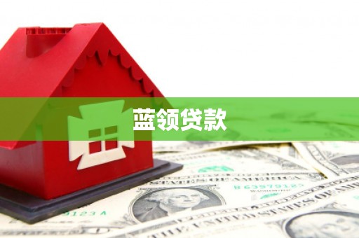 东坡蓝领贷款