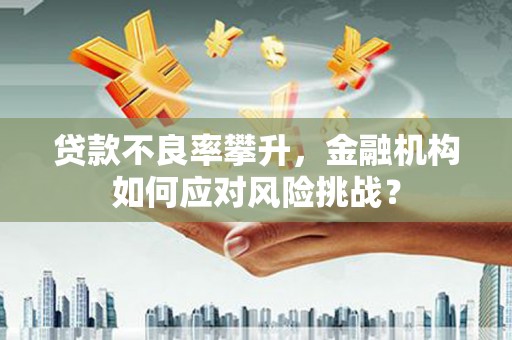 徐州贷款不良率攀升，金融机构如何应对风险挑战？