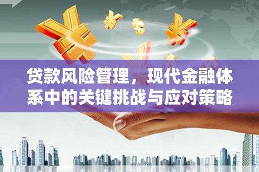 灵璧贷款风险管理，现代金融体系中的关键挑战与应对策略