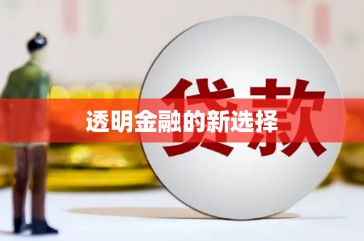 龙口透明金融的新选择