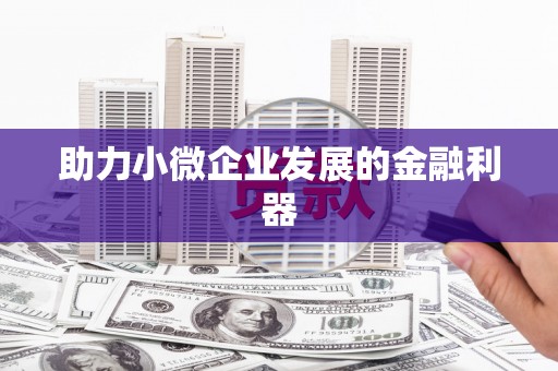 洮北助力小微企业发展的金融利器