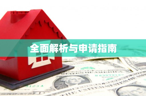 港南全面解析与申请指南